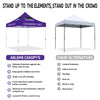 ABLEM8CANOPY 10x10 Elderberry Syrup Canopy Tent Pop Up - ablem8canopy