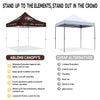 Coffee Canopy - 10x10 Pop Up Tents and Canopies for Coffee and Food Outdoor Catering - ablem8canopy